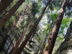 -梭布垭石林景区