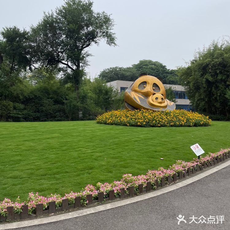 成都|三天自由行