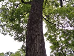 -北京上方山国家森林公园