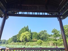 -上海市保健医疗中心