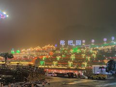 -枇杷园食为鲜火锅(南山店)