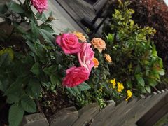 -杭州城北体育公园