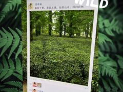 -宝岩生态观光园