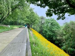 -西湖风景区-江洋畈生态公园