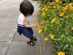 -映月湖中央公园