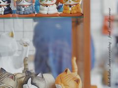 -隹木咖啡馆(宝龙广场店)