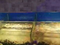 -鑫海汇海鲜烤肉自助(北国商城店)