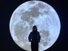 -成都失恋馆