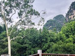 -广悦华阳朔河畔度假酒店(十里画廊遇龙河店)