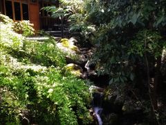 -天明山温泉大酒店