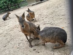 -苏州太湖西山岛开心农场