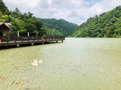 -浙西大峡谷