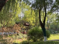 -太子山公园(园东路)