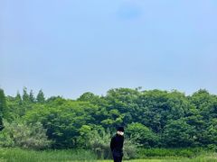 -艾溪湖湿地公园