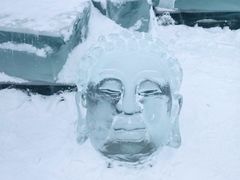 -长春市南湖公园