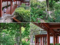 -广州神农草堂中医药博物馆