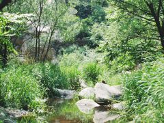 -碓臼峪自然风景区