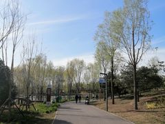 -东郊湿地公园