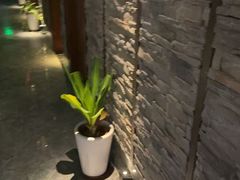 -臻享养生·SPA·影院式足道(汇臻店)