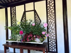 -苏州上方山国家森林公园