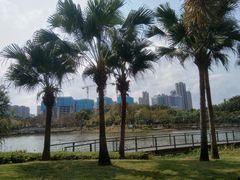 -映月湖公园