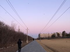 -西海子公园