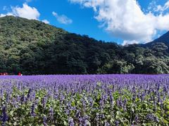 -广州市石门国家森林公园