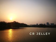 -山东理工大学