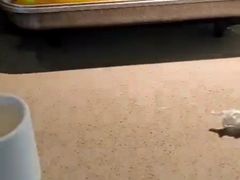 -半天妖烤鱼(印象城店)
