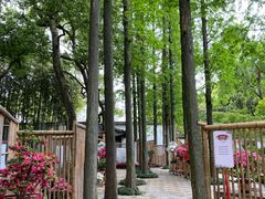 -上海醉白池公园