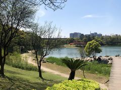 -美兰湖景区
