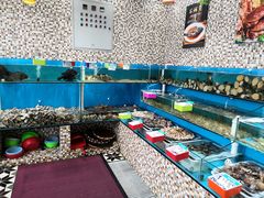 -港畔赶海蒸汽海鲜烧烤自助(仙螺岛店)