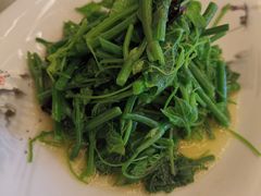 凉拌丝瓜尖-玉华宫宾馆·餐厅(铜川驻京办店)