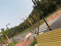 -野狸岛