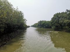 -大湾区中央湿地公园