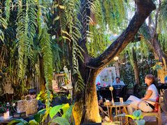 -Fern Forest Cafe