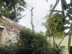 -金庸书院