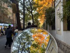 -金原鸭血粉丝汤总店(锁金村店)