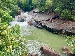 -广州白江湖森林公园