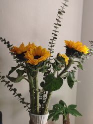 -盘子女人坊古装写真摄影(天津总店)