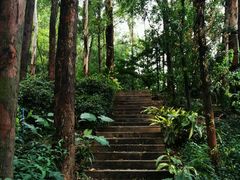 -南岗山公园