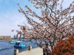 -莫愁湖公园