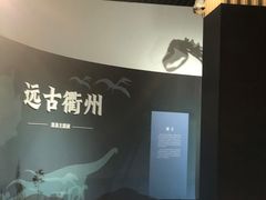 -衢州市博物馆