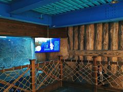 -海合安青岛极地海洋公园