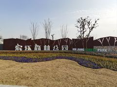 -上海滨江森林公园