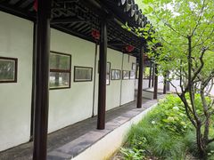 -上海醉白池公园