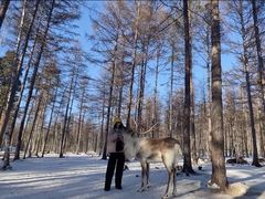 -北极村旅游风景区