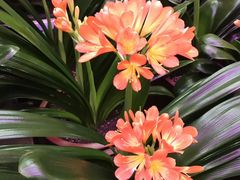 -三旗百汇商品城