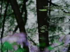 -西溪南古村落