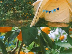 -前小桔亲子创意农场·草莓采摘·露营烧烤